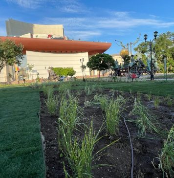 FOTO/ Viceprimarul Horia Tomescu: Spaţiul din faţa Teatrului Naţional, amenajat urbanistic