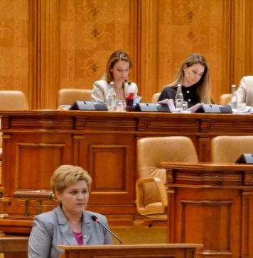 Oana Marciana Özmen (PNL): Camera Deputaților a votat Proiectul de Lege privind integrarea hidrogenului din surse regenerabile