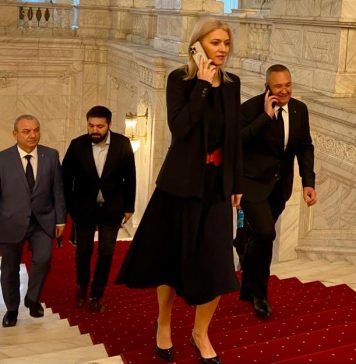 UPDATE Nicolae Ciucă a fost ales președinte al Senatului