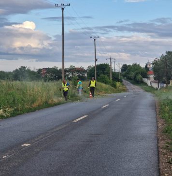 Ilfov: Distrugerea ambroziei se face astăzi pe DJ 402, Măineasca – Petrăchioaia și DJ 101, Moara Vlăsiei – Grădiștea