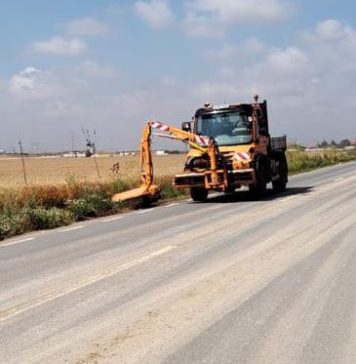 Ilfov: Distrugerea ambroziei se face astăzi pe DJ 301 A, Bălăceanca – Glina prin cosire și pe DJ 200, Dascălu – Gagu