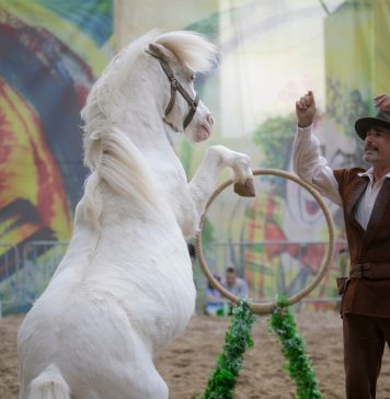 Calea Victoriei şi Aleea Circului redevin pietonale în weekendul 17-18 iunie la „Străzi deschise – Bucureşti”