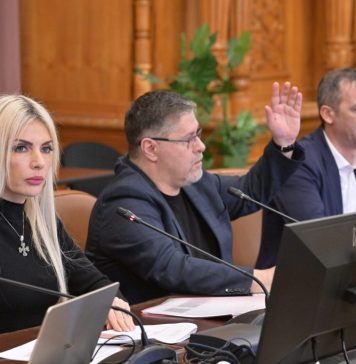 Candidaturile Sulfinei Barbu şi Marius Oprea pentru funcţia de membru CNSAS, avizate în comisia juridică