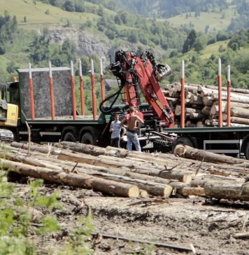 Filme cu teme de protecția mediului, disponibile gratuit în Săptămâna Verde europeană