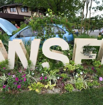 Sector 6: Peste 100.000 de vizitatori la West Side Flower Fest – FOTO