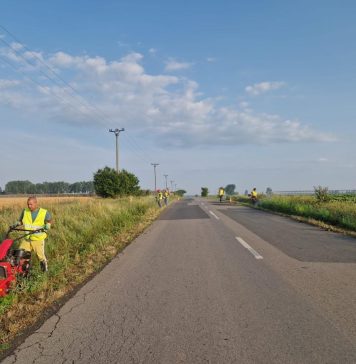 Ilfov: Combaterea și distrugerea ambroziei s-a făcut pe DJ 402, Creața – Vânători și DJ 402, Vânători – Petrăchioaia