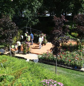 Programul West Side Flower Fest. Flashmob cu 100 de seniori, concert de jazz, fetița-ventriloc care a uimit România