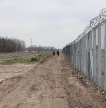 Ten foreigners caught while trying to illegally cross into Hungary