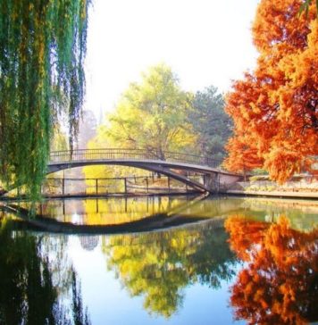 Swedish traditions and cultural values, celebrated this weekend, in King Mihai I Park