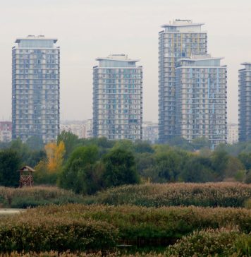 Începe programul Vară Verde în Parcul Natural Văcăreşti, cu tururi ornitologice ghidate, teatru pentru copii