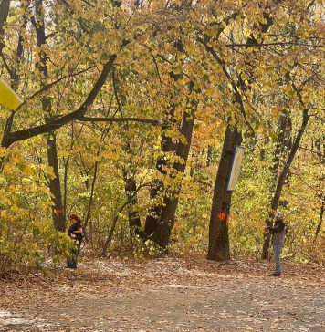 Drumul forestier din Pădurea Băneasa se va redeschide temporar