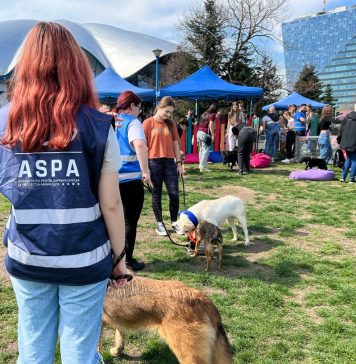 Autoritatea pentru Supravegherea şi Proiecţia Animalelor urmează să fie reorganizată