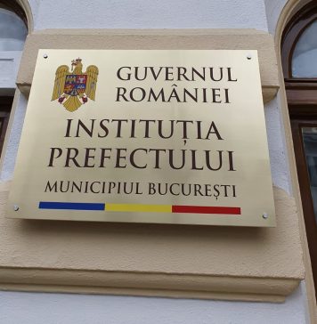 Prefectul Capitalei solicită Primăriei să nu mai tergiverseze ”soluţionarea problemei defrişărilor şi toaletării copacilor aflaţi în declin biologic”