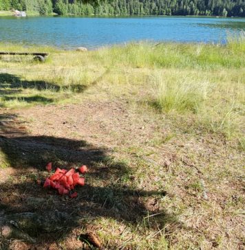 Accesul turiştilor cu bagaje a fost interzis la Lacul Sfânta Ana