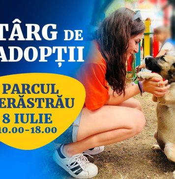 Un nou târg de adopții pentru căței, sâmbătă, în Parcul Regele Mihai I (Herăstrău)