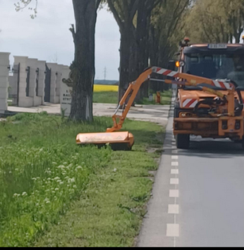 În Ilfov se continuă tratamentele pentru combaterea și distrugerea buruienii ambrozia