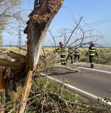 Bilanţul vijeliilor de miercuri – Patru persoane decedate / Pagube în 22 de judeţe şi în municipiul Bucureşti / 117 copaci căzuţi pe carosabil, autoturisme şi clădiri