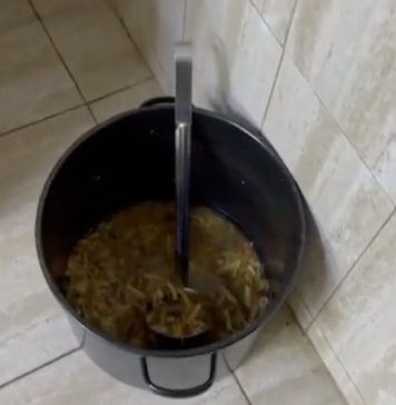 ANPC a verificat centrele pentru persoane vulnerabile din Ilfov: Au fost găsite insecte vii, saltele şi perne pătate, cu urme de pete de sânge