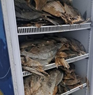 Amenzi de peste 550.000 de lei, aplicate în ultima săptămână de inspectorii ANSVSA, în cadrul Comandamentului Sezon Estival 2023