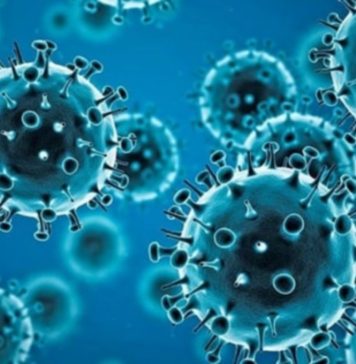 Three dead, 255 patients with COVID-19 in hospitals in the last week