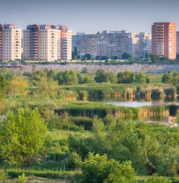 Bucharest is home to more than 200 bird species – 180 can be seen in Vacaresti Park