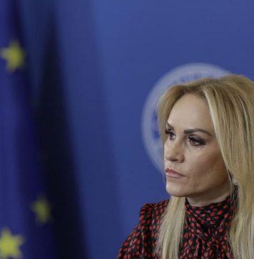 Gabriela Firea resigns as family minister (sources)