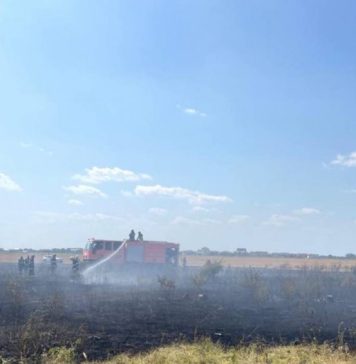 Este incendiu de vegetație uscată la periferia Bucureștiului, cu degajări mari de fum