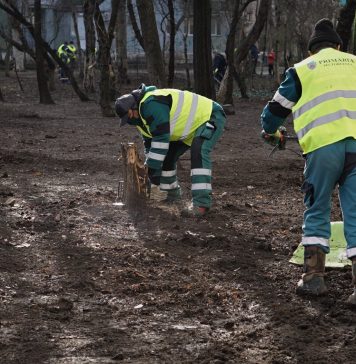 Consiliul Local al Sectorului 2 a votat reorganizarea ADP