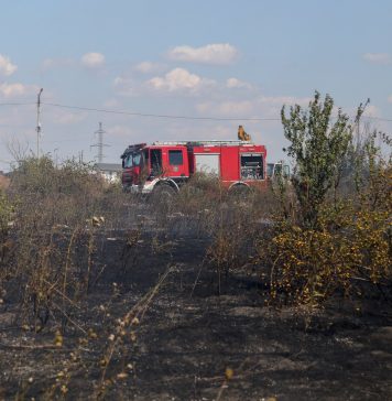 INCENDIU de vegetaţie uscată, în nordul Capitalei. O casă a fost afectată / UPDATE Vântul influenţează în mod continuu direcţia de propagare a flăcărilor