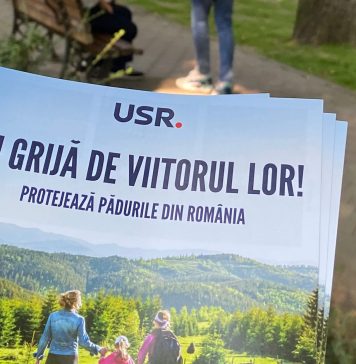 VIDEO/ Deputată USR, plângere împotriva celor ce aruncă deșeuri din construcții în orașul Bragadiru