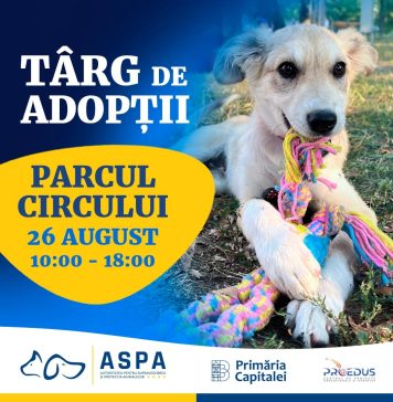 Târg de adopţii, sâmbătă, în Parcul Circului
