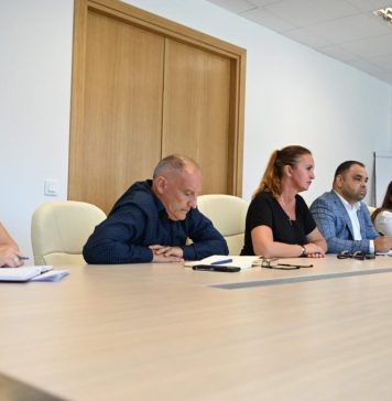 Natalia Intotero, ministrul Familiei: Alături de colegii de la Autoritatea Națională pentru Protecția Drepturilor Copilului și Adopție (ANPDCA) am continuat seria întâlnirilor cu organizațiile non-guvernamentale care au ca obiect de activitate protecția copilului