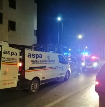 ASPA București a preluat un câine din rasa amstaff folosit de stăpân pentru a ataca un agent de pază