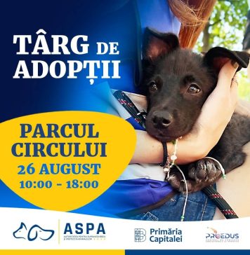 ASPA organizează un nou târg de adopții de căței și pisici