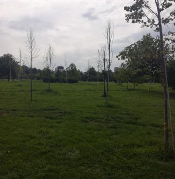 Deputații vor să reamenajeze platforma din zona Izvor a Parlamentului