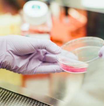 Campania de prevenţie a UMFCD „Asumă-ţi să fii sănătos!” de pe litoral: Aproape 40 de oameni au aflat că sunt suspecți de cancer