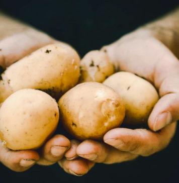 Cele mai mari scumpiri din ultimul an: zahărul, transportul aerian şi cartofii – date INS