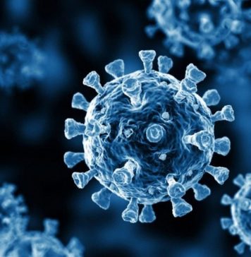 374 patients with COVID-19 in hospitals, four deaths last week