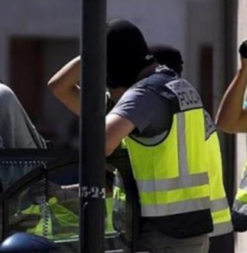 Group of six Pakistanis stopped in their tracks as they attempt to illegally cross into Serbia