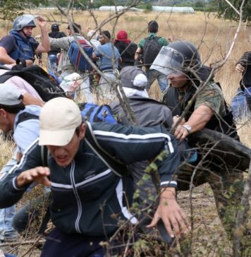 Almost 300 illegal immigrants found in Romania in the past two weeks