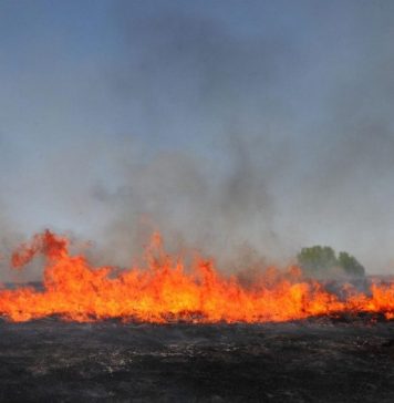 Romanian firefighters in Corsica Island participate in extinguishing wildfire near Corte
