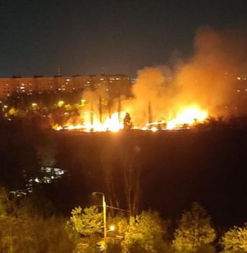 Incendiu în Parcul IOR din București: flăcările au afectat 4.000 de metri pătrați