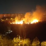 Incendiu în Parcul IOR din București.