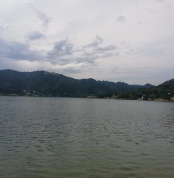 Înot: Competiţiile preolimpice programate în apele fluviului Sena, anulate din cauza poluării (Federaţia internaţională)