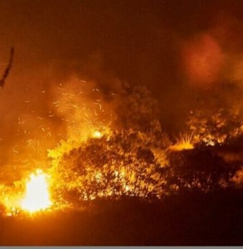 Over 50 Romanian firefighters operate in Greece to extinguish fire in Alexandroupolis