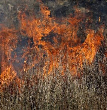 Europe gripped by extreme weather, era of global boiling has arrived’ (enr)