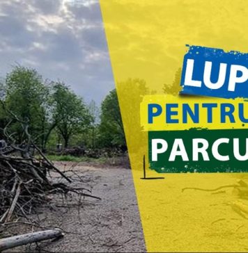 VIDEO/ PNL propune un referendum în București pentru Parcul IOR: ”Am reuşit să strângem 15.000 de semnături”