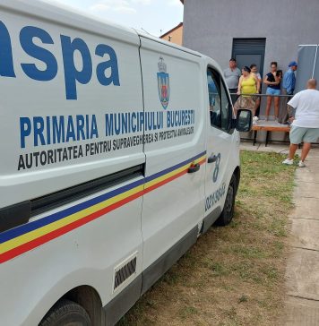 Proprietarii câinilor care nu sunt sterilizaţi şi microcipaţi, notificaţi de ASPA Bucureşti să intre în legalitate