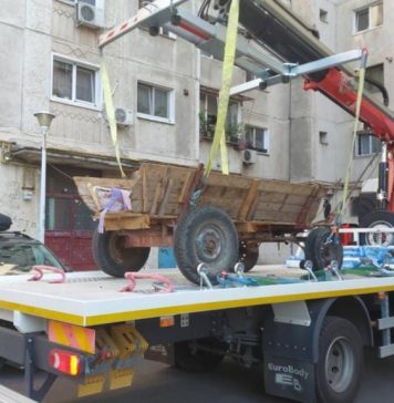 Căruțele depistate pe drumurile publice din Sectorul 6 sunt confiscate, iar caii – ridicați de Protecția Animalelor