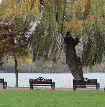 Capitala va avea „mobilier urban de calitate” în parcuri, anunță viceprimarul Horia Tomescu